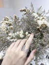 6 Zircon ring Women's simple ring, unique design sense, niche Korean fairy organ only -1061 details Picture